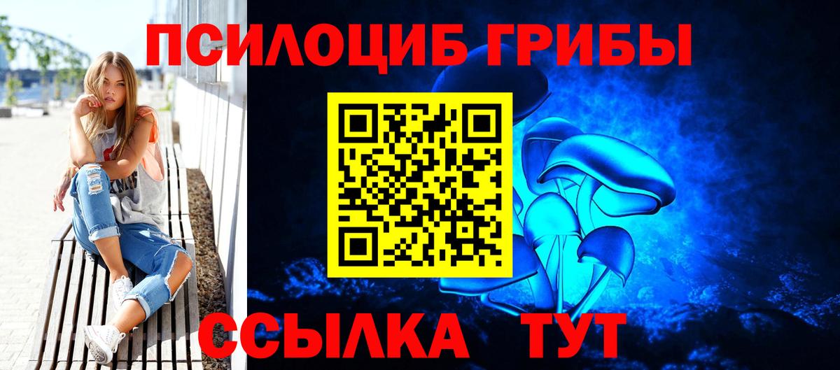 Альметьевск  Псилоцибиновые грибы GOLDEN TEACHER  Вход с VPN  Галлюциногенные грибы мухоморы 