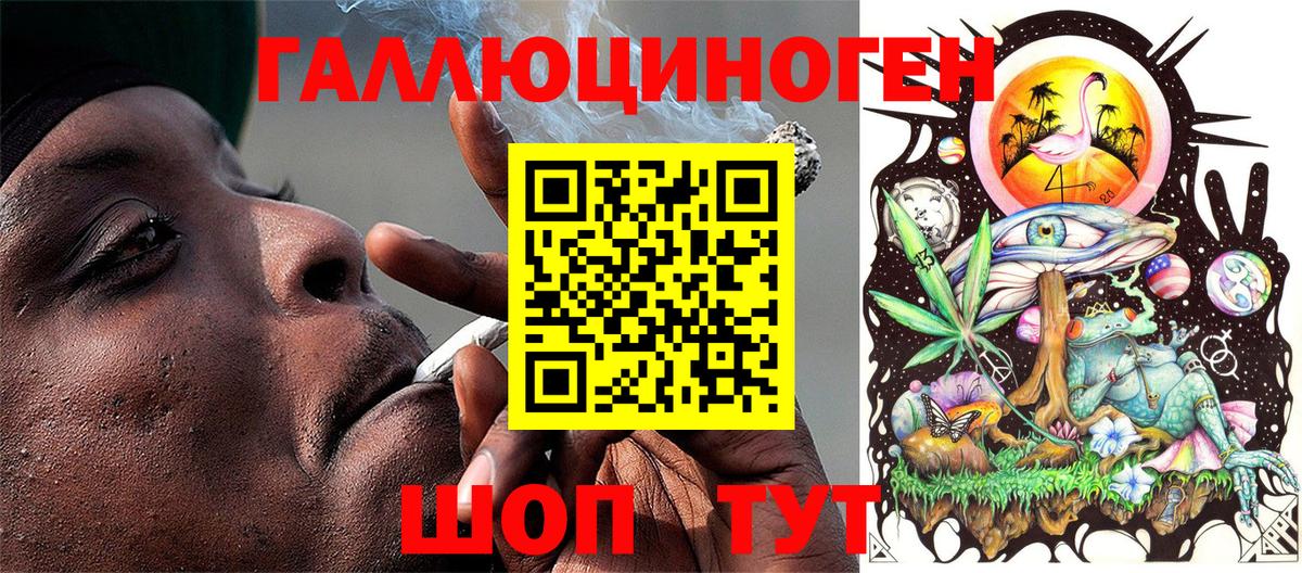 Псилоцибиновые грибы Psilocybine cubensis Альметьевск